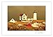 Great Lighthouse Postcards. Variety Pack. 4x6, 10 Pack, 2 each of 5. Unique Birthday Cards, Thank You Notes & Invitations. Best Quality Christmas & Valentine's Day Gifts for Women, Men & Kids