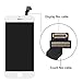 YPLANG Screen Replacement Compatible for iPhone 6 Screen Replacement LCD Display Digitizer Frame Assembly Full Repair Kit, with Repair Tools and Flowchart (Silver)