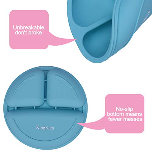 Kids Divided Plates 100 Safe BPA Free Soft Silicone Baby Toddler