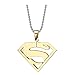 T-Perfect Life 24 inch Chain Stainless Steel Superhero Pendant Necklace