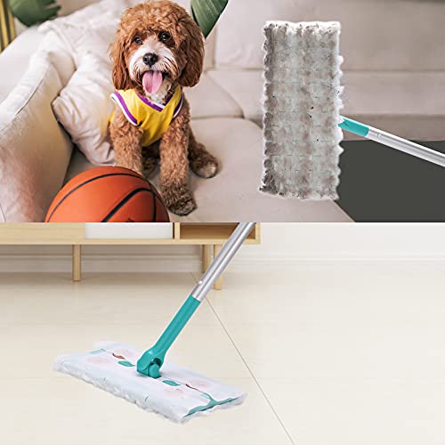 HOOWISH Small Flat Mop Kit Cleaning Starter and Sweeper Dry + Wet All