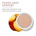 100% PURE Powder Foundation Matte Finish Face Makeup - Oil Absorbing Pressed Poreless Concealer - Vegan Fruit Pigmented Golden Peach Color (Medium-Tan Shade w/Neutral Undertones) - 0.32 Oz