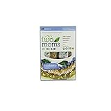 Two Moms in the Raw Organic Blueberry Granola Bars Gluten Free 16 Bars