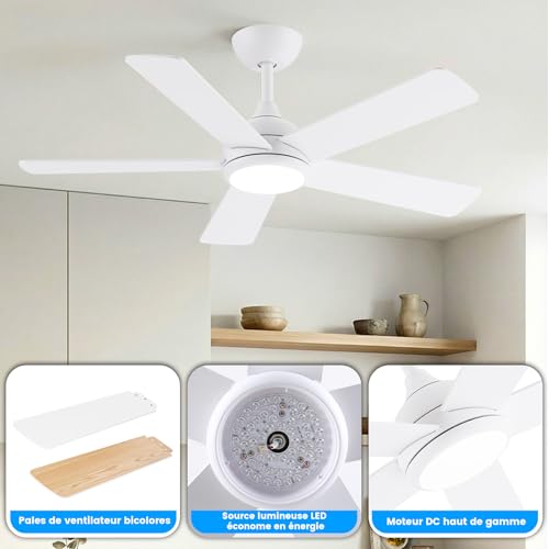 AUTODAY Ceiling Fan with Led Light, 24W Dimmable, Silent DC Motor 35W, 132Cm, Plywood Blades, Memory Remote Control, 6 Speed, White