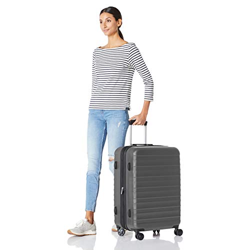 AmazonBasics 20"/24"/28" Luggage Set, Grey Pricepulse