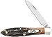 Case WR XX Pocket Knife Burnt 6.5 Bonestag Teardrop Item #65308 - (TB6.51028 SS) - Length Closed: 3 1/2 Inches