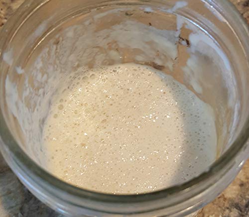 Wild Wheat Sourdough Starter Dehydrated
