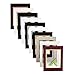 Golden State Art, Pack of 10 11x14 Double Picture Mats with White Core Bevel Cut for 8x10 Pictures + Backing + Bags, Mix Color