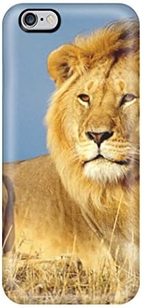 Cute Appearance Cover/tpu QPd-51ntpyqVls Lion Animal Background Desktop Background Case For Iphone 6 Plus