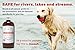 Moosh Natural Dog Shampoo – Promotes Healthy Hair, Coat and Skin. Helps Hot Spots, Dry Itchy Skin. Pet Odor Eliminator – Grooming Shampoo. Shea Butter, Argan Oil, Aloe Vera, Bentonite Clay