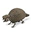 Geoworld Prehistoric Icebergs Glyptodon Skeleton Assembly Set