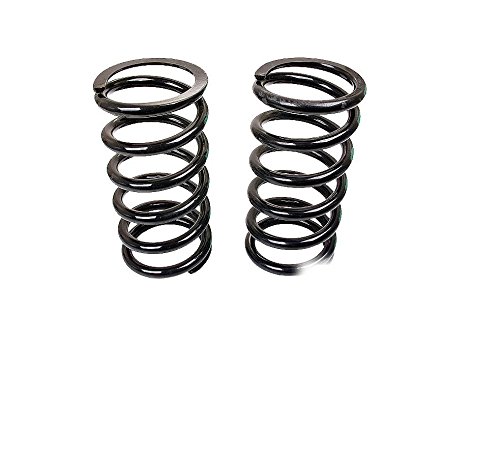 Set of 2 Rear Jaguar Vanden Plas XJ12 XJ6 Coil Spring	Eurospare	JLM011382