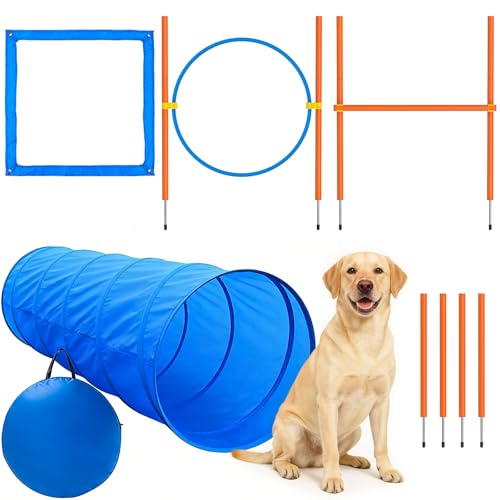 XiaZ Dog Agility Course Set