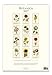 Cavallini 2017 Botanica Wall Calendar