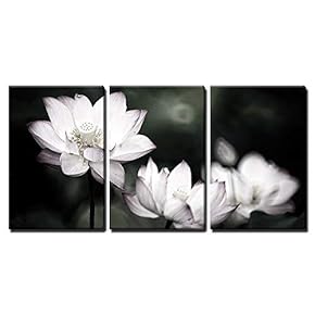 Beautiful Lotus Background - Canvas Art Wall Art - 16"x24"x3 Panels