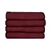 Sunbeam Heated Blanket | LoftTec, 10 Heat Settings, Garnet, Twin - BRL9STS-R310-16A44
