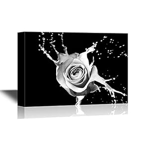 Closeup of a Black and White Rose Petal...