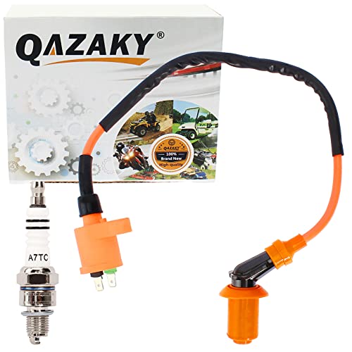 QAZAKY Compatible with Ignition Coil Spark Plug