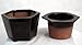 Self Watering Glazed Ceramic Pot - Brown - 6 3/8