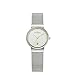 Skagen Women's 355SGSC Ancher Quartz 3 Hand Date Stainless Steel Silver Watch