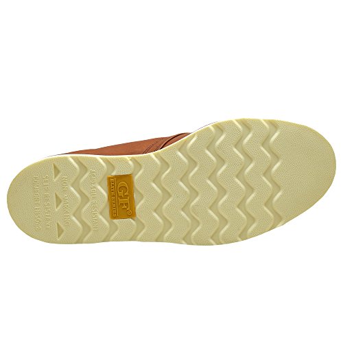 image for Golden Fox 12