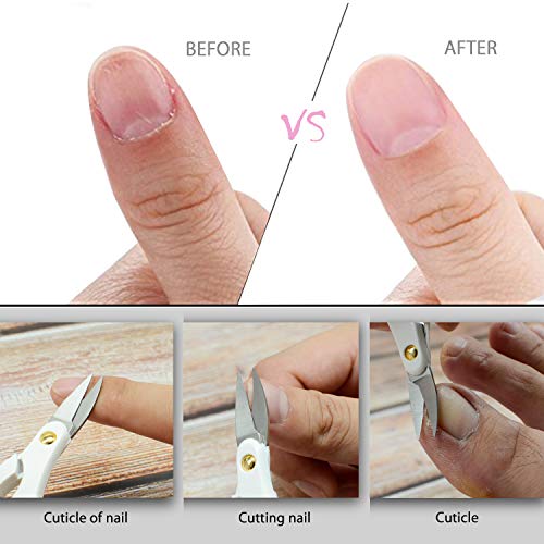 Stainless Steel Professional Curved Cuticle Scissor Cuticle Nipper Cuticle Cutter Cuticle Trimmer Cuticle Remover with Safety Cover for Dead Skin Removal (Violet)
