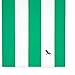 Dock & Bay Lightweight Beach Towel - Quick Dry, Sand Free - 100% Recycled - Includes Bag - Cabana - Cancun Green (2021), Extra Large (200x90cm, 78x35)