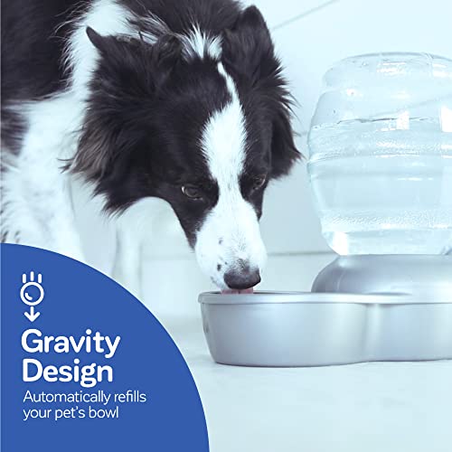 petmate replendish 1 gallon