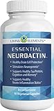 Essential NeuroActin - Brain Cell, Protein and Antioxidant Protection - 90 Vegetable Capsules