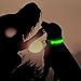 VIZPET LED Dog Collar Light USB Rechargeable Light Up Collar Adjustable Glowing Pet Collar Super Bright for Night Safety Dog Collar with 6 Colors for Large, Medium, Small Dogs (Green, Medium)