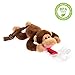 BabyHuggle Monkey Pacifier - Stuffed Animal Binky, Soft Plush Toy with Detachable Silicone Baby Dummy, Paci Clip Leash & Squeaky Sound