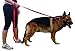 Jet Storm Dog Leashes for Large Dogs + Dog Supplies Dog Products + 8 Ft 2 Inch Extra Long Dog Leash + Nylon Dog Leash + Leashes for Puppies + Pet Supplies for Dogs Leashes + Pet Supplies for Dogs