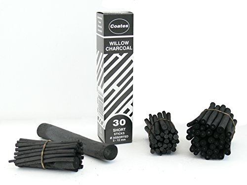 Global Art Materials Coates Artist Willow Charcoal Assorted 30 Sticks (1004)