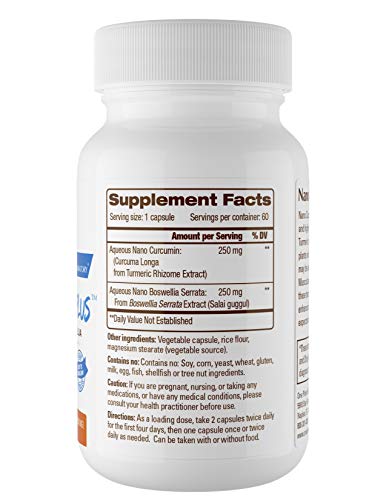 Nano Curcumin Plus - Powerful Anti-inflammatory, Antioxidant, Joint Pain Reliever (60 Capsules)