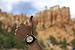 Luno Wear Men's Wood Watch, Wood and Genuine Leather, The Pine