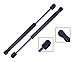 2 Pieces (Set) Tuff Support Front Hood Lift Supports Compatible With: 2010 To 2011 Honda Accord Crosstour / 2012 To 2015 Honda Crosstour