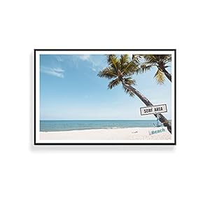 Framed Canvas Wall Art for Living...