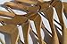 Clutter Mate - Set of 6 - Premium Finished Wooden Suit Hangers, Natural Wood-Grain Coat, Solid Wood Hangers, Wide Shoulder Heavy Clothes Hanger for Suits, Jacket, Non Slip Pants, with Swivel Hook