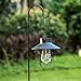 EKQ ROJOY 1Pack Upgrade Hanging Solar Lights Lantern with 1 Shepherd Hook,Metal Solar Waterproof Lantern for Pathway Garden Outdoor (1Pack) (Black)