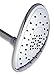 Waterpik AST 233CC/20008439 AquaScape Dual Mode Oval Showerhead, Chrome
