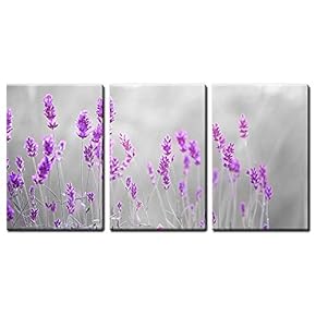 3 Panel Canvas Wall Art - Purple Flowers Against Black and White Background - Giclee Print Gallery Wrap Modern Home Art Ready to Hang - 16"x24" x 3 Panels