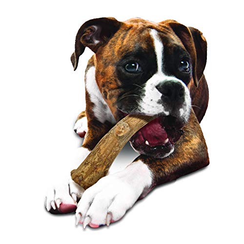 Nylabone Healthy Edibles Wild Venison Dog Treats - Image 5