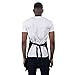 Bang Tidy Clothing Funny Apron Cooking Gifts for Men, Grilling BBQ Grill Cooks Chef Aprons 2 Pockets Cotton, Dad Gifts