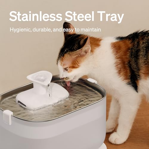 PETLIBRO Cat Water Fountain for Drinking, Cats Actually Use It, Dockstream 2.5L Classic Pet Fountain with Stainless Steel Tray, Easy-Clean for Indoor Cats, Filtered Quiet Flow, Mains Powered