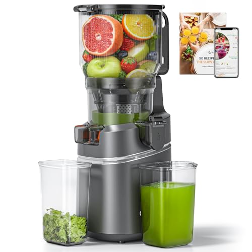 AMZCHEF Cold Press Juicer with 165mm Large Feed Chute, Slow Masticating Juicer for Whole Fruits & Vegetables, Triple Filter, Copper Motor, High Juice Yield, Easy to Clean, Grey