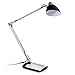 TaoTronics Metal Desk Lamp LED Flexible Arm, Rotatable Head, Eye-Friendly Design, Black Plastic + Silver Aluminum Alloy Finish, 6W
