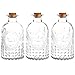 MyGift Set of 3 Antique-Style Clear Glass Embossed Apothecary Bottles with Cork Lids