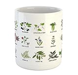 Ambesonne Herb Mug, Natural Treatment Infographic