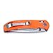 Ganzo G7533 Folding Hunting Pocket EDC Handle Knife (Orange)
