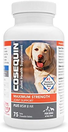 nutramax cosequin ds plus with msm chewable tablets costco